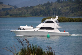 Tides Reach Whitianga